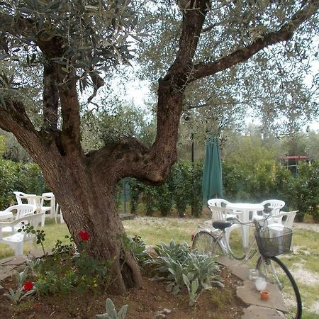 Casa Degli Ulivi Hotel Tivoli Luaran gambar